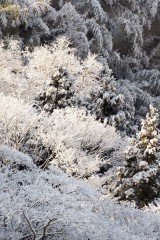 冬・雪 写真素材