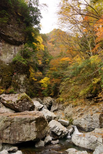 紅葉と滝（みたらい渓谷）4