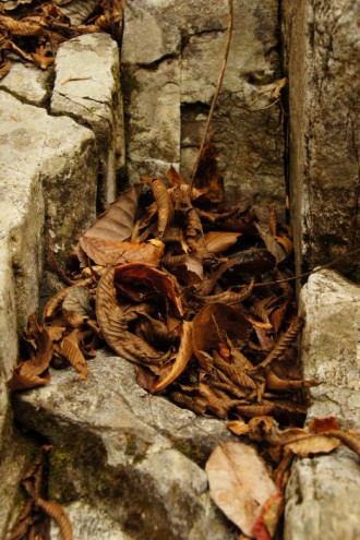 岩の間に溜った枯葉